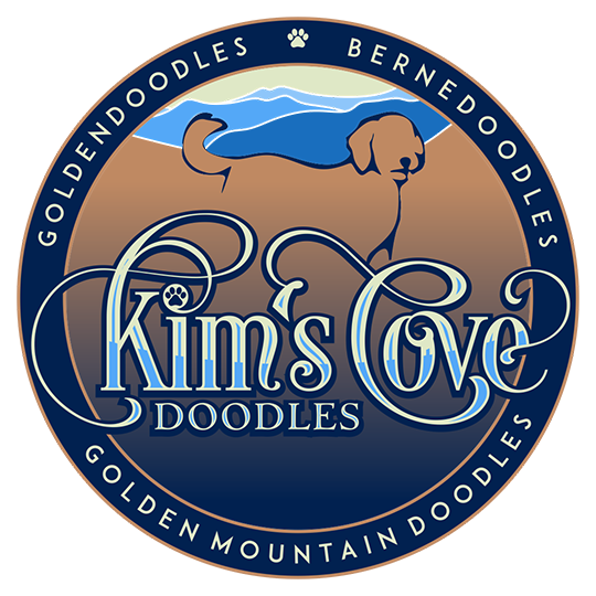 Kim's Cove Doodles Kim's Cove Doodles